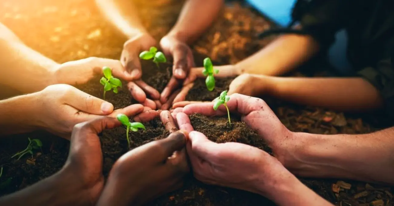 people holding soil with tiny plants